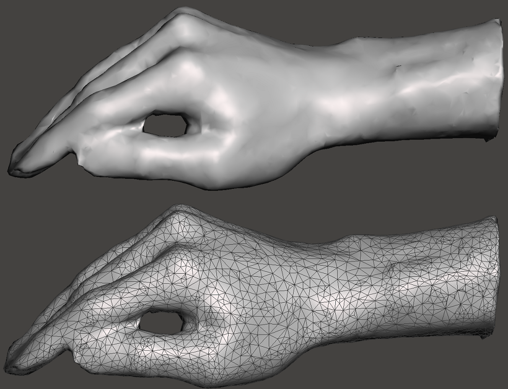 Initial hand model meshed