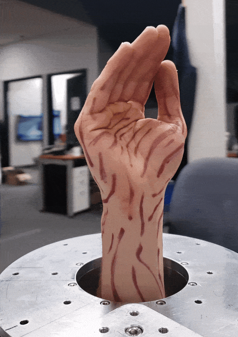 Live phone scan video