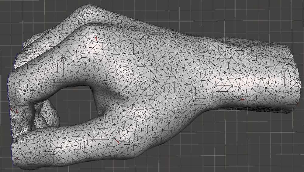 The cleaned hand model